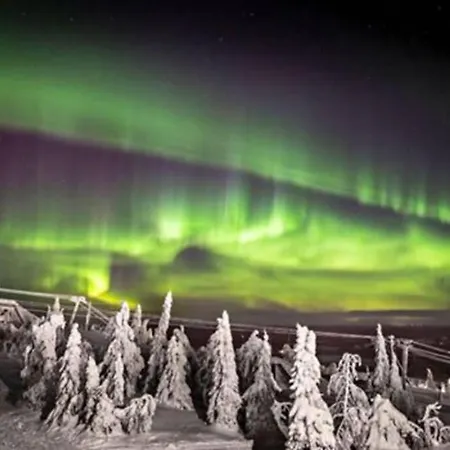 Cosy - Perfect For Your In Rovaniemi! Apartamento