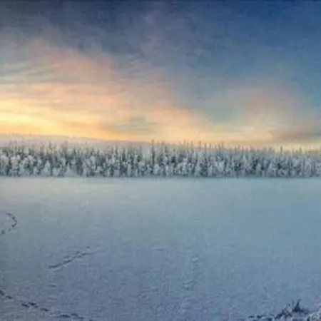 Cosy - Perfect For Your In Rovaniemi! Rovaniemi