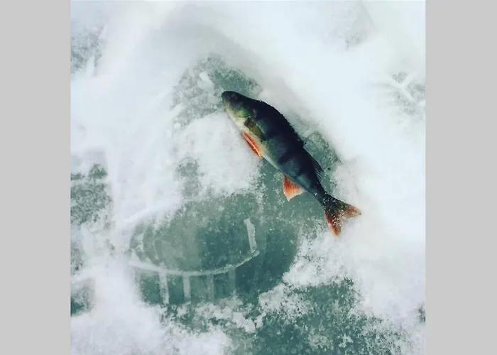 아파트 Cosy - Perfect For Your In Rovaniemi!